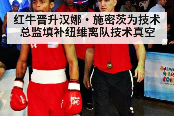 红牛晋升汉娜·施密茨为技术总监填补纽维离队技术真空