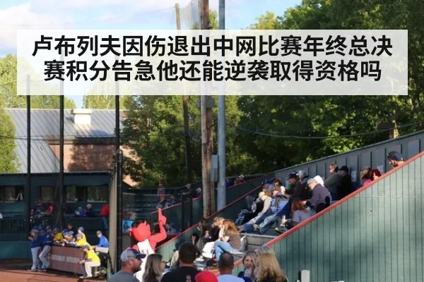 卢布列夫因伤退出中网比赛年终总决赛积分告急他还能逆袭取得资格吗