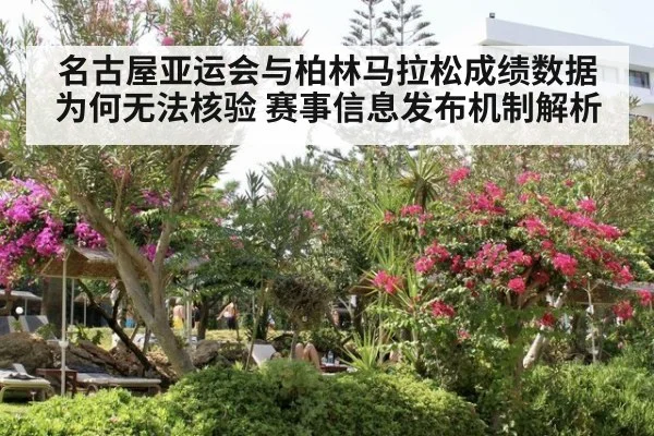 名古屋亚运会与柏林马拉松成绩数据为何无法核验 赛事信息发布机制解析
